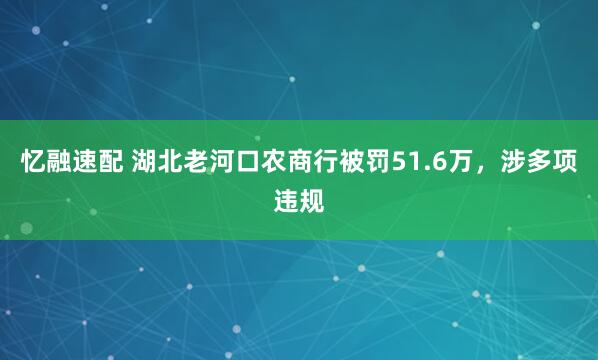 忆融速配 湖北老河口农商行被罚51.6万，涉多项违规