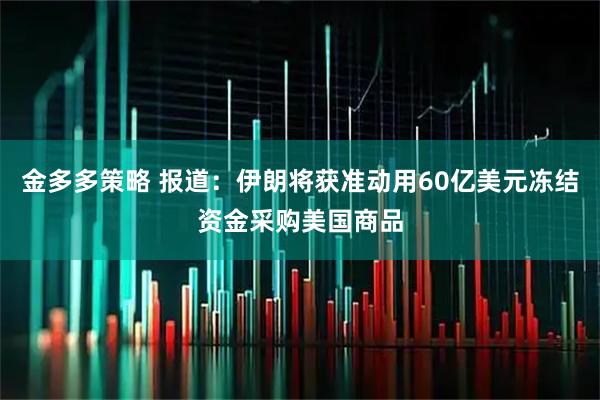 金多多策略 报道：伊朗将获准动用60亿美元冻结资金采购美国商品